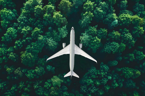 QR Forest.jpg